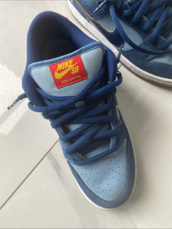 Nike SB Blue Multi Skate Shoes main image 8